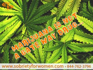 Marijuana is not a gate way drug