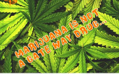 Marijuana is not a gateway drug Nicotine is!