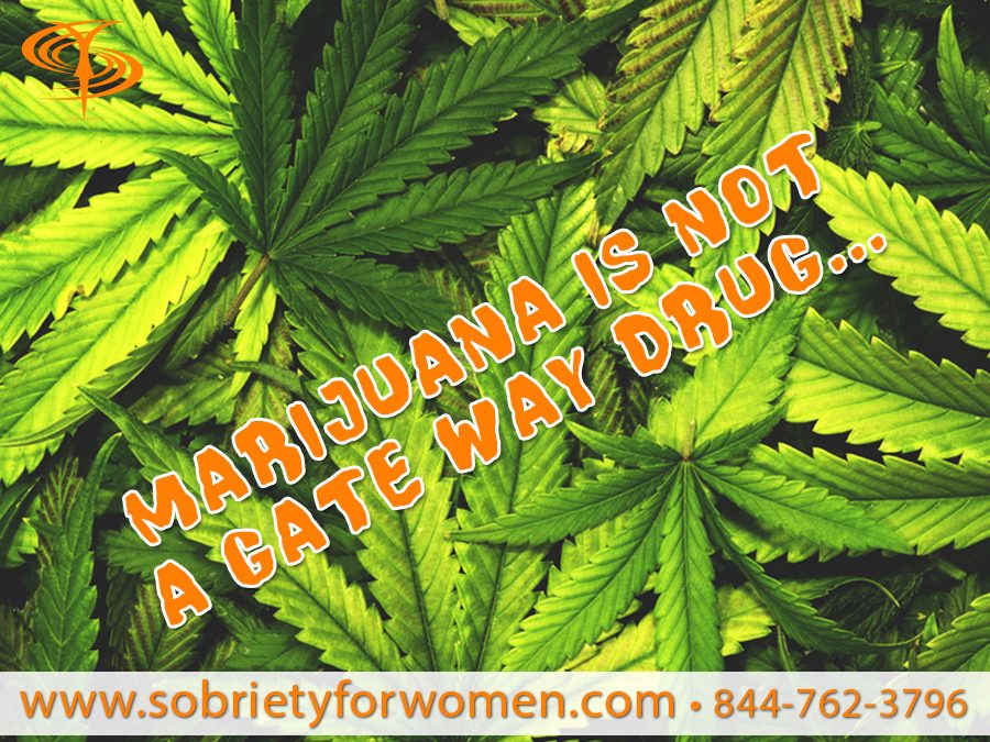 Marijuana is not a gate way drug